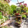 Green Fashion Florist