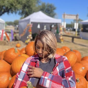 Old Time Christmas Tree Farm - Pumpkin patch photo op - Christmas Trees Near Me - Spring, Texas