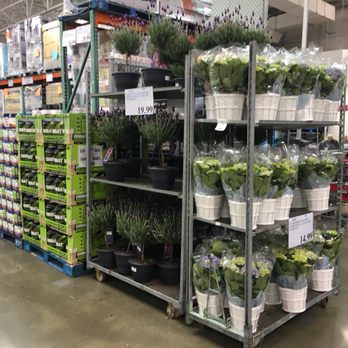 Costco Wholesale - Tires Near Me - Norfolk, Virginia