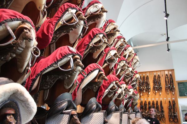 Spanish Riding School by null