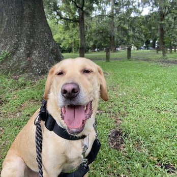 Gretna Dog Park - Dog Parks Near Me - Gretna, Louisiana