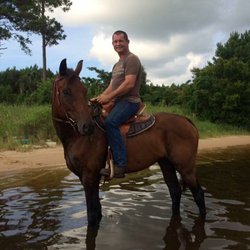 Little Boro Farm - Fun Rides on the Farm with a View!