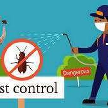 Dont Bug Me Pro - Pest Control Near Me Dont Bug Me Pro - Pest Control Near Me