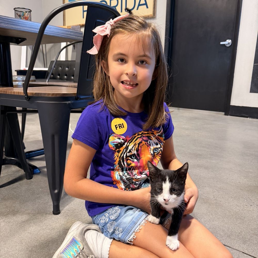 Orlando Cat Cafe - Girl and cat - Animal Shelters Near Me - Clermont, Florida