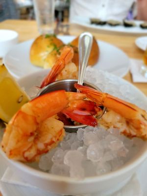 The Royal Tern by null The Royal Tern by null