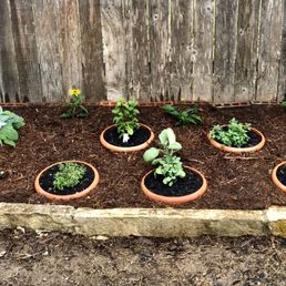 In-ground Herb Garden In-ground Herb Garden