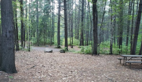 Bon Echo Provincial Park by null