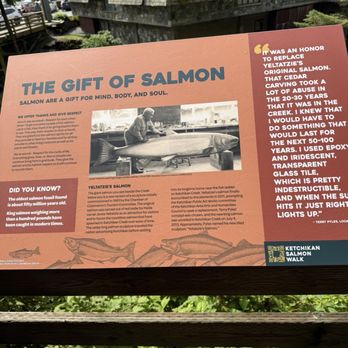 Salmon Ladder Vista - Parks Near Me - Ketchikan, Alaska