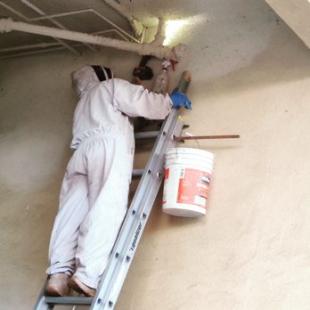 Budget Bee Services - Isaiah from Budget Bee Services in action! - Pest Control Near Me - Granada Hills, California Budget Bee Services - Isaiah from Budget Bee Services in action! - Pest Control Near Me - Granada Hills, California