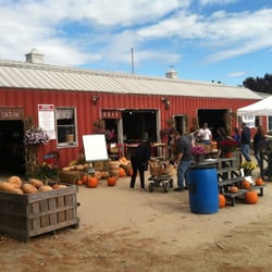 Race Farm