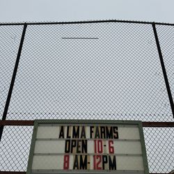 Alma Backyard Farm - Outside