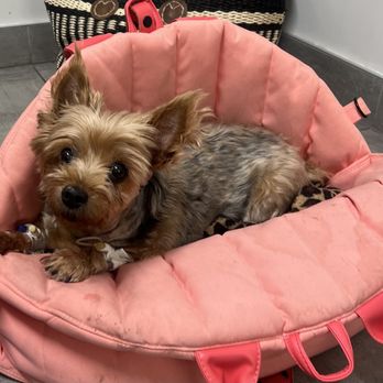 VEG ER for Pets - Emergency Pet Hospital Near Me - Pikesville, Maryland VEG ER for Pets - Emergency Pet Hospital Near Me - Pikesville, Maryland
