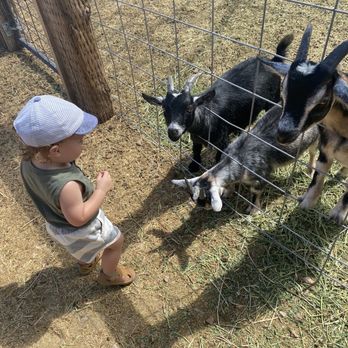 Superstition Farm - Farmers Market Near Me - Mesa, Arizona