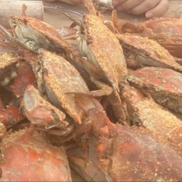 Steamed Crabs