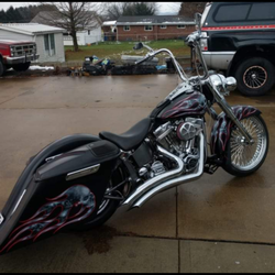 Hog Wild Motorcycles - custom built softail/bagger