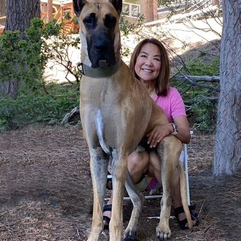 Incredible Canine - "We can't say enough good things about Incredible Canine. - Pet Training Near Me - Santa Rosa, California Incredible Canine - "We can't say enough good things about Incredible Canine. - Pet Training Near Me - Santa Rosa, California