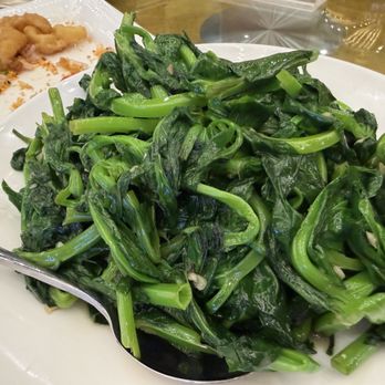 Pearl Bay Manor - pea sprouts - Dim Sum Near Me - Dublin, California Pearl Bay Manor - pea sprouts - Dim Sum Near Me - Dublin, California
