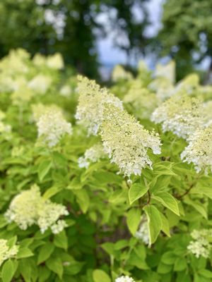 Vulcan Park and Museum by null