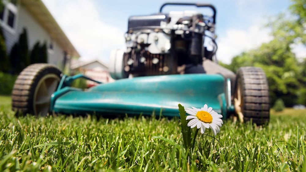 LAWN & MOWER DOC Updated September 2024 680 Old Weiss Rd, Saint