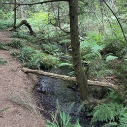South Whidbey State Park