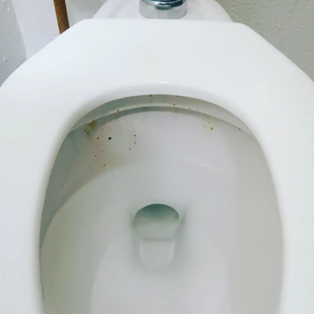 MR KLEAN CLEANING 17 Photos Athens, Alabama Office Cleaning