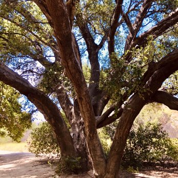 Aliso Canyon Park - Hiking Near Me - Granada Hills, California