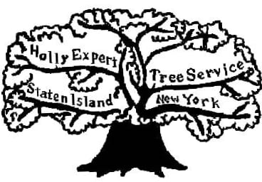 Holly Expert Tree Care Service - tree service in Staten Island, NY
