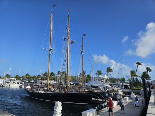 Sunset Sail Key West by null
