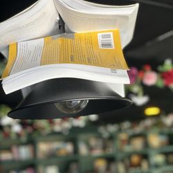 Libri - Chandelier