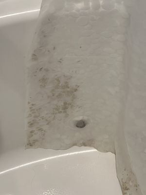 Stay Duvet | Vacation Rentals by null