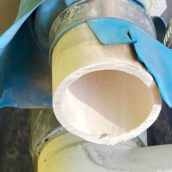 Shark Attack Pools - The Shark attack pool guy ruined my backwash hose and never even replaced it. They haven't backwashed my pool in half a year. - Pool Cleaners Near Me Shark Attack Pools - The Shark attack pool guy ruined my backwash hose and never even replaced it. They haven't backwashed my pool in half a year. - Pool Cleaners Near Me