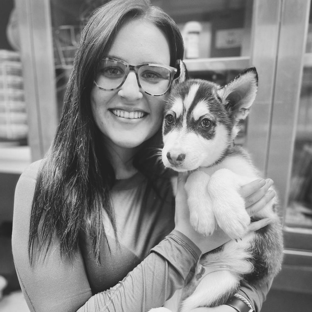 Goose Creek Pet Hospital - pet boarding facility in Franklin, TN