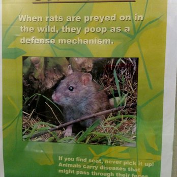 Raven Run Nature Sanctuary - Warning! Great facts to know while you're using the restroom! - Hiking Near Me - Lexington, Kentucky Raven Run Nature Sanctuary - Warning! Great facts to know while you're using the restroom! - Hiking Near Me - Lexington, Kentucky