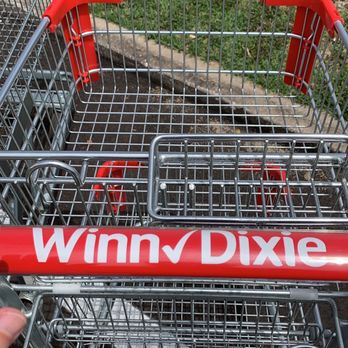 plastic adirondack chairs winn dixie