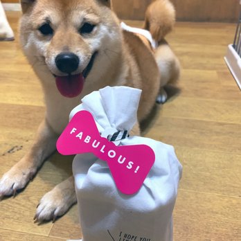 Hogoneko 東道頓堀店 中央区道頓堀1 4 7 大阪市 大阪府 Japan Yelp