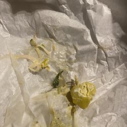 Mr Pickle's Sandwich Shop - Atascadero - Found two whole peppers, stem and all. The second one had a nice long brown hair attached.
