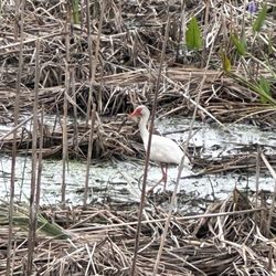 John Bunker Sands Wetland Center