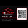 Mile High Electrician