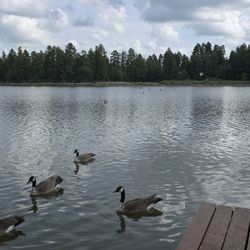 Lake of the Woods Resort