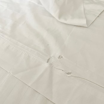 Chelsea Hotel - Housekeeping made our bed and there were easily visible holes in our sheets .__." - Hotels Near Me - Toronto, Ontario