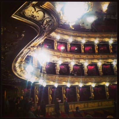State Opera by null