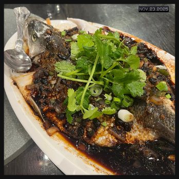 Four Seasons - Sea Bass w/ black bean sauce (35 GBP) - Chinese Near Me - London, XGL Four Seasons - Sea Bass w/ black bean sauce (35 GBP) - Chinese Near Me - London, XGL