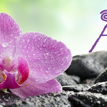 Ahlara International - Day Spas Near Me - Mooresville, North Carolina Ahlara International - Day Spas Near Me - Mooresville, North Carolina