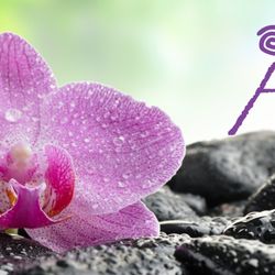 Ahlara International