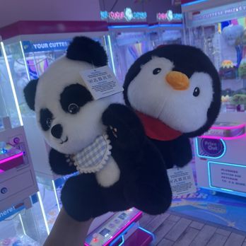 Boba CuCue - Bubble Tea Near Me - Gilbert, Arizona