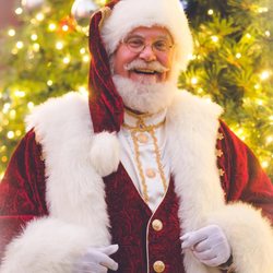 The Pure Imagination Party Company - Real Bearded Santa for Hire