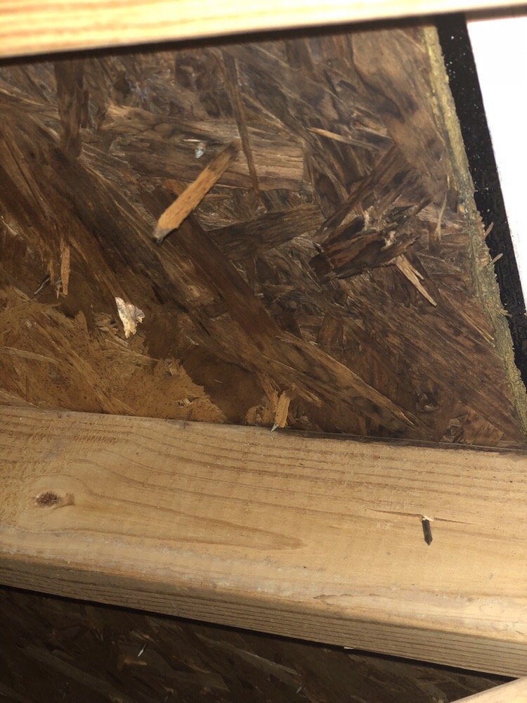 Slide of Findlay Roofing