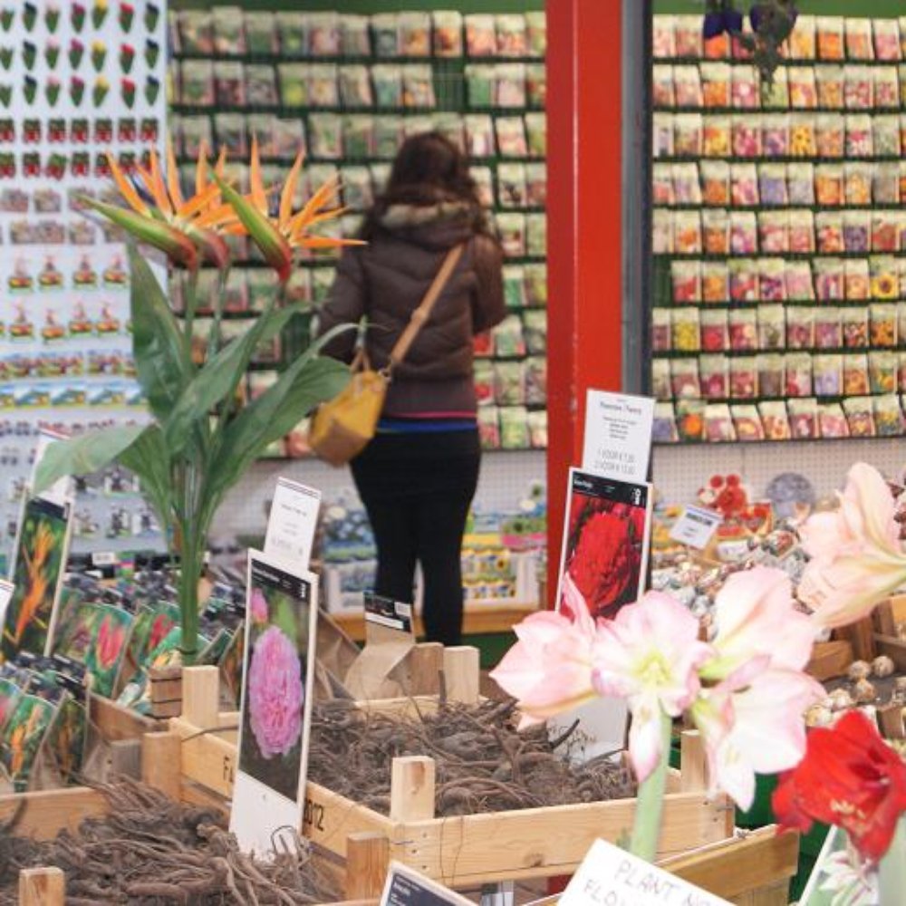 Bloemenmarkt - Flowers, Seeds and Roots - Florists Near Me - Amsterdam, New Hampshire
