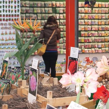 Bloemenmarkt - Flowers, Seeds and Roots - Florists Near Me - Amsterdam, New Hampshire