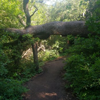 River Place Nature Trail - Hiking Near Me - Austin, Texas River Place Nature Trail - Hiking Near Me - Austin, Texas